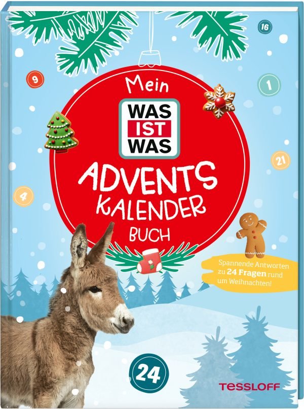 Tessloff Mein WAS IST WAS Adventskalenderbuch 4 2026