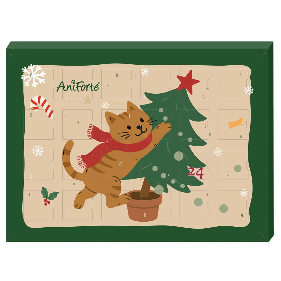 AniForte Katzen-Adventskalender 2026