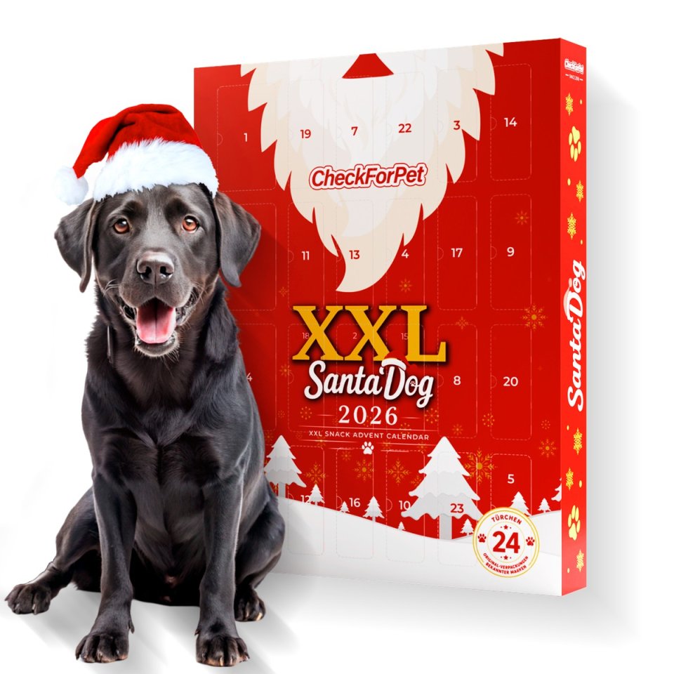 XXL Hunde-Adventskalender 2026