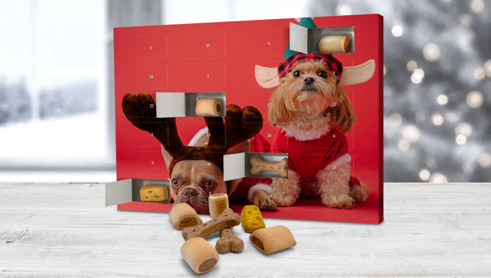 printplanet Hunde-Adventskalender 2026 mit eigenem Foto