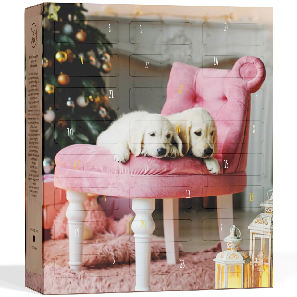 BOXILAND Hunde-Adventskalender 2026