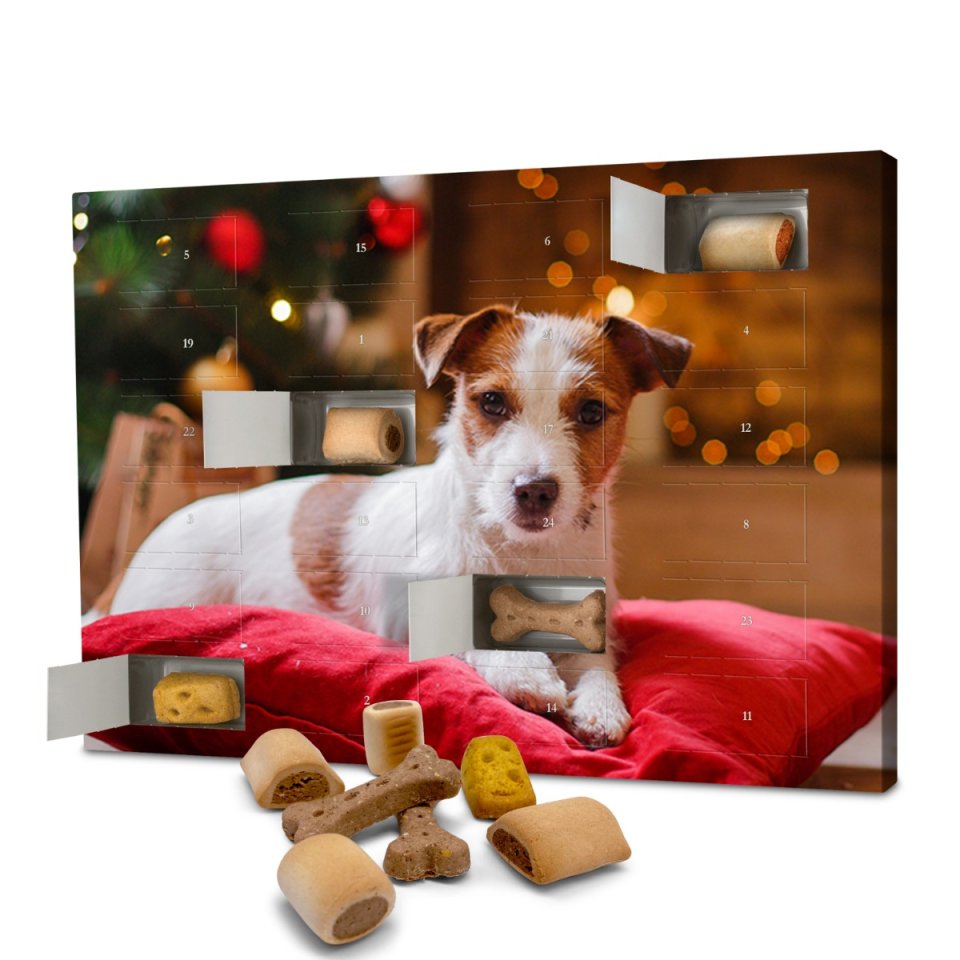 PhotoFancy Hunde-Adventskalender mit eigenem Foto
