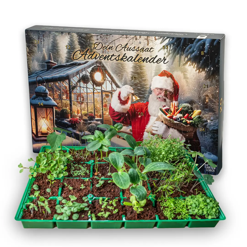 Der Gartencoach Pflanzen-Adventskalender mit 24 Saatgut-Türchen